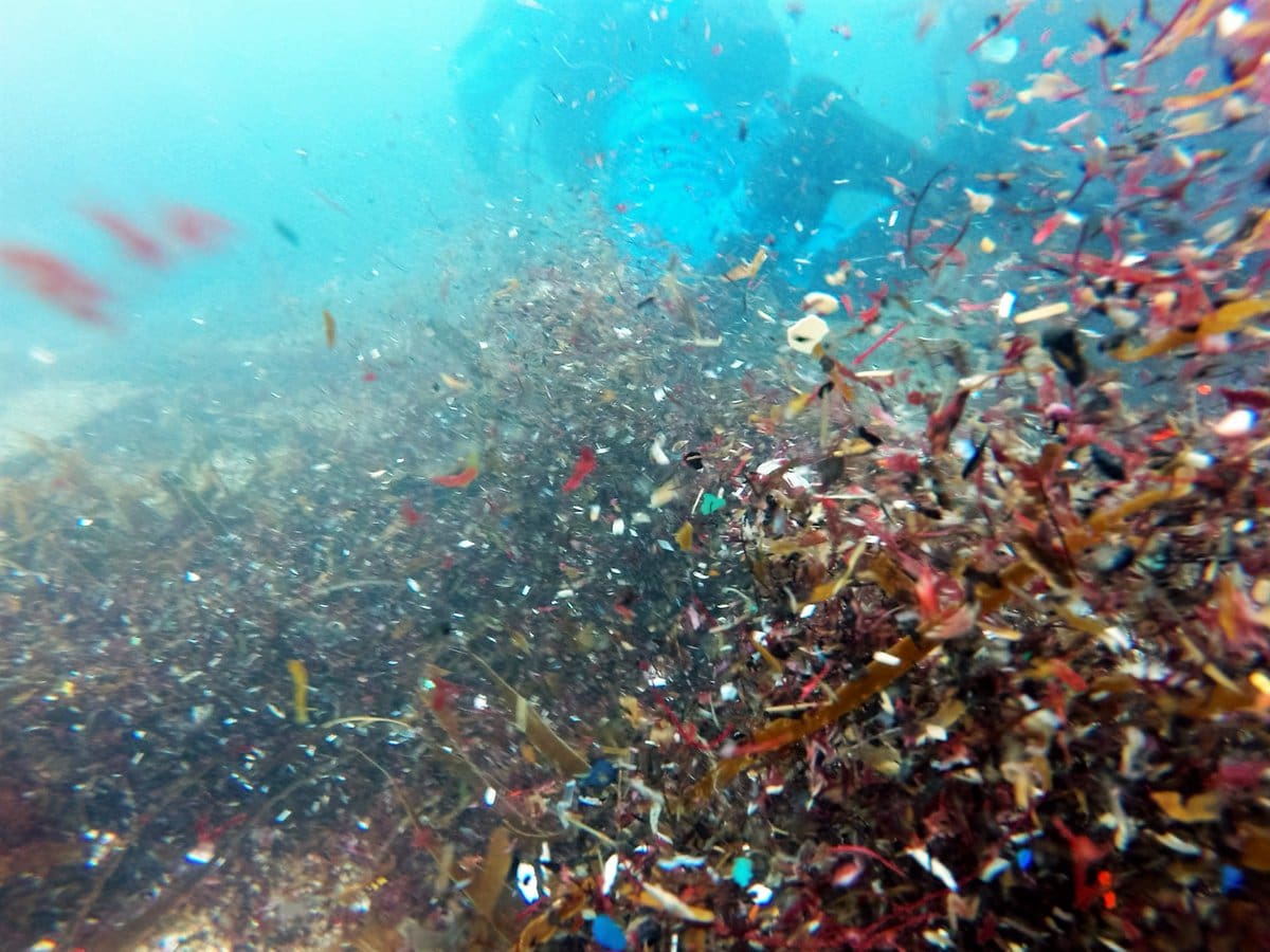 Temuan Mikroplastik di Kedalaman Laut