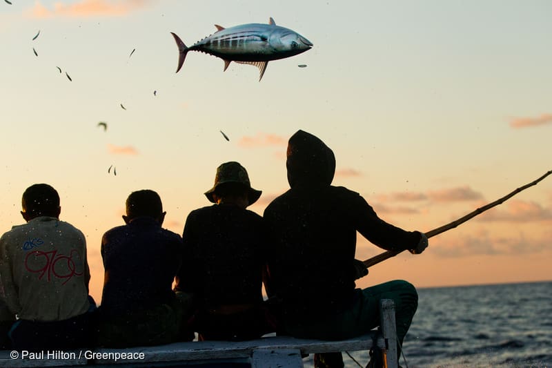 Limbah produksi ikan laut
