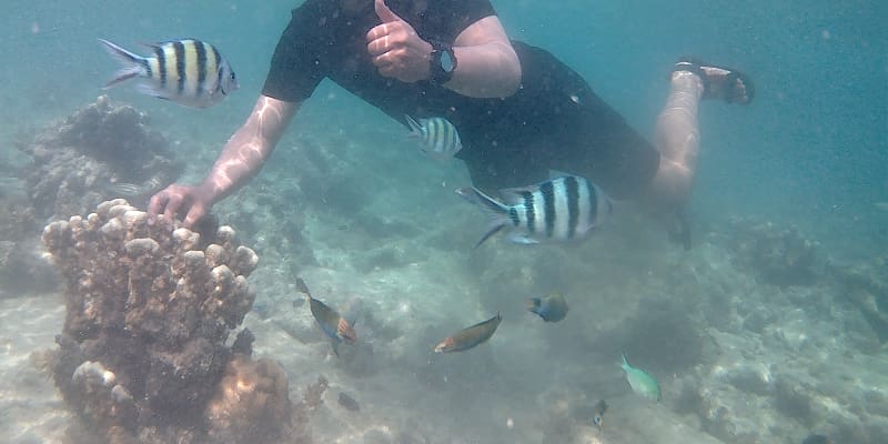 Wisatawan Merusak Karang