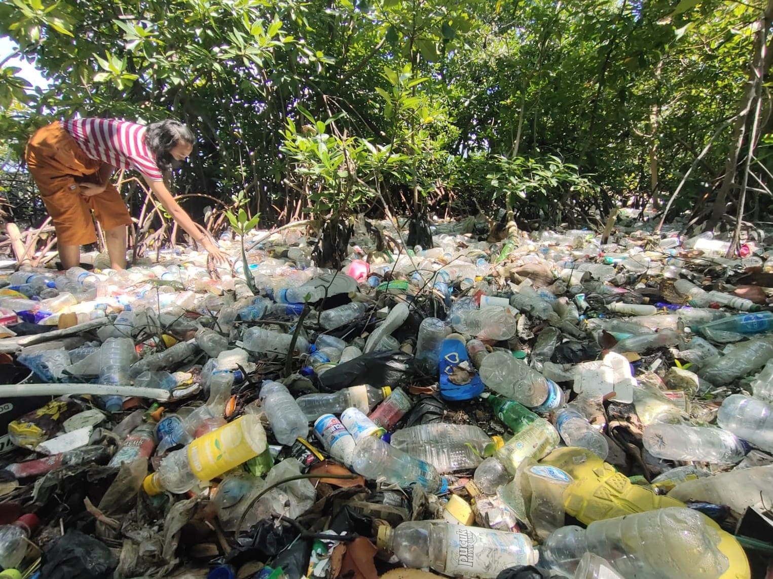 sampah plastik