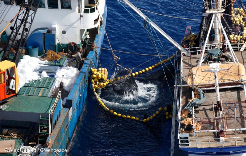 iuu fishing