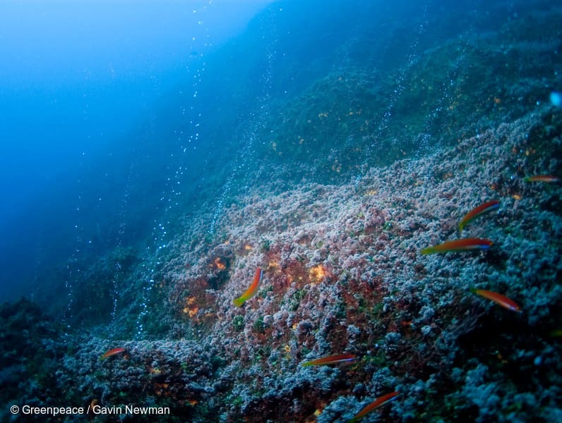 tambang bawah laut