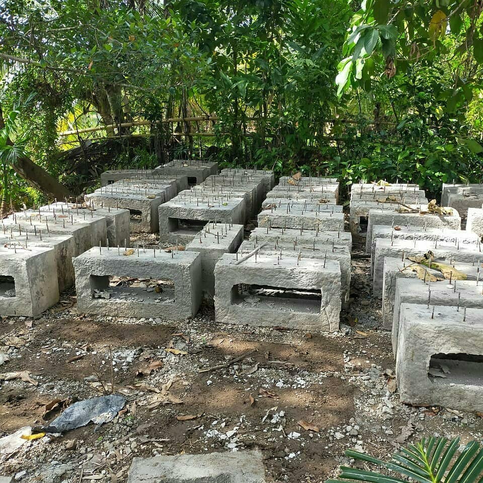 fly ash and bottom ash