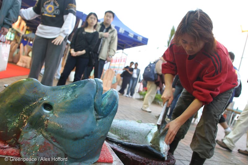 ikan napoleon