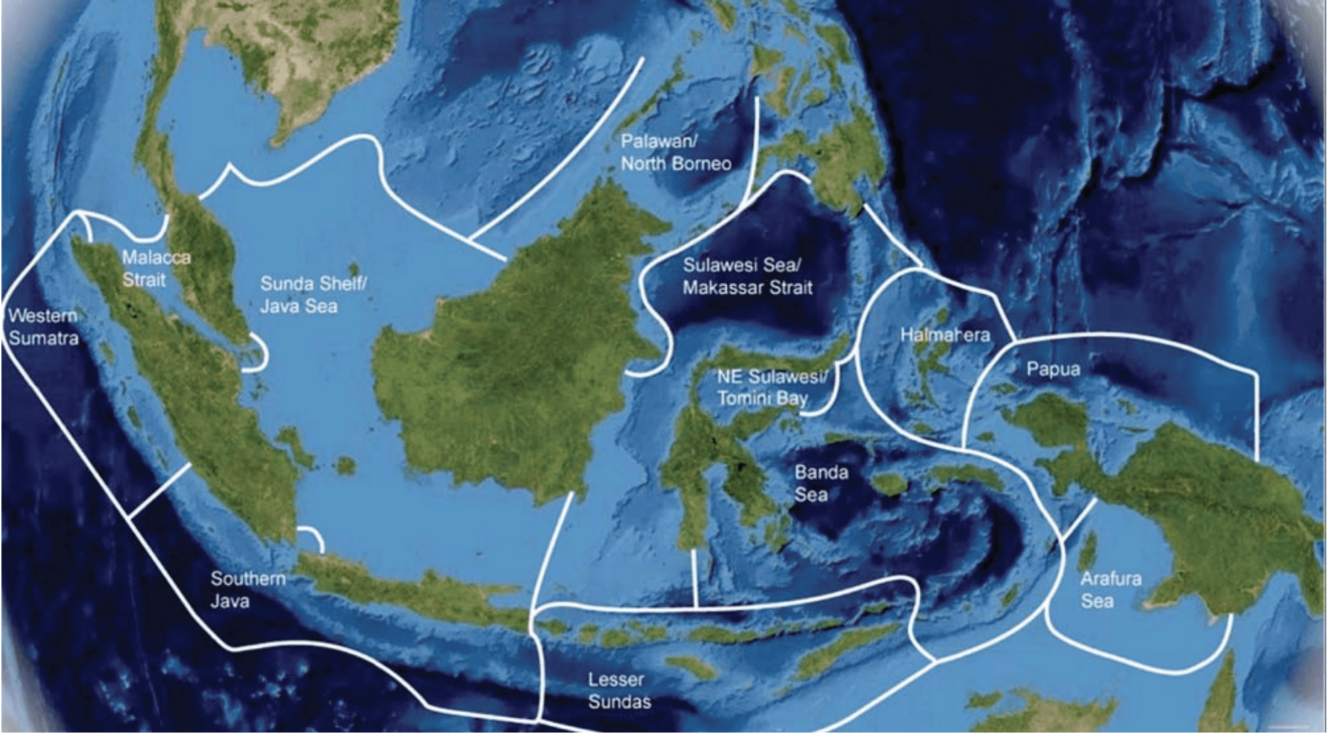 Mengenal 12 Ekoregion untuk Menggambarkan Keanekaragaman Hayati Laut ...